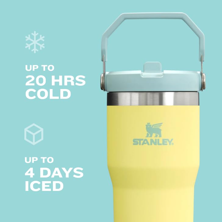 Stanley IceFlow 2.0 Flip Straw Tumbler with Handle 40 oz | Twist On Lid and Flip Up Straw | Leakproof Water Bottle | Insulated Stainless Steel | BPA-Free | Black 2.0